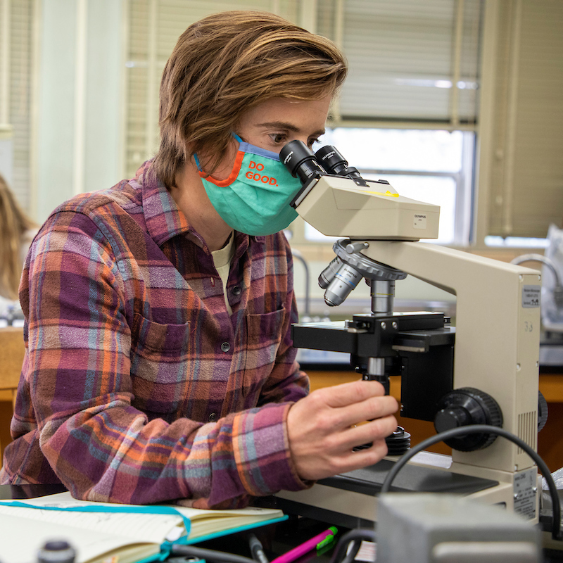 Biology – Ecology and Organismal Biology – Bachelor’s Degree Program (BS)