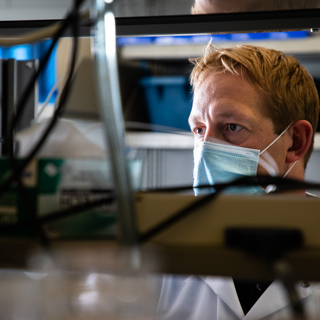 Neuroscience – Cellular and Molecular Neuroscience – Bachelor’s Degree Program (BS)