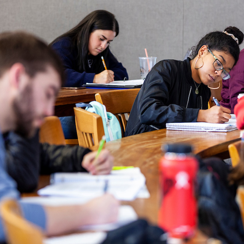 Criminology – Bachelor’s Degree Program (BA)