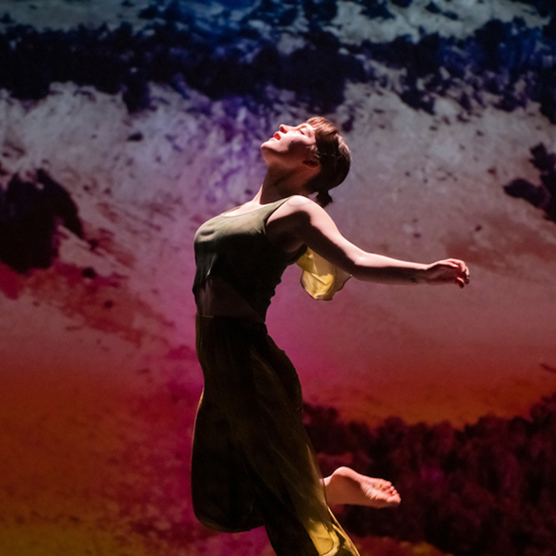 Dance – Bachelor’s Degree Program (BA)