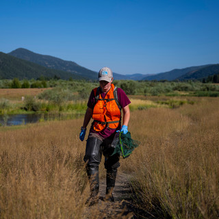 Ecological Restoration