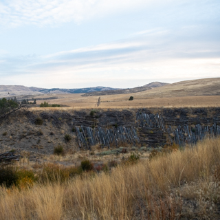 ESS – Ecosystem Science and Restoration – Bachelor’s Degree Program (BS)