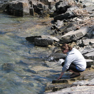 Environmental and Natural Resources Law