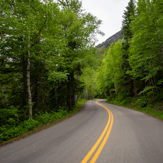 ESS – Environmental Policy and Planning – Bachelor’s Degree Program (BS)