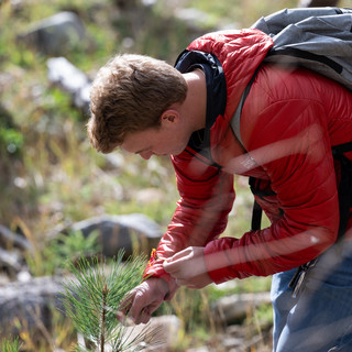 Forest and Conservation Sciences