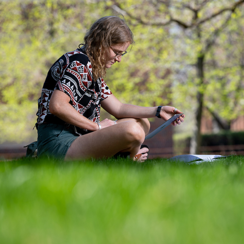 French - Bachelor's Degree Program (BA)