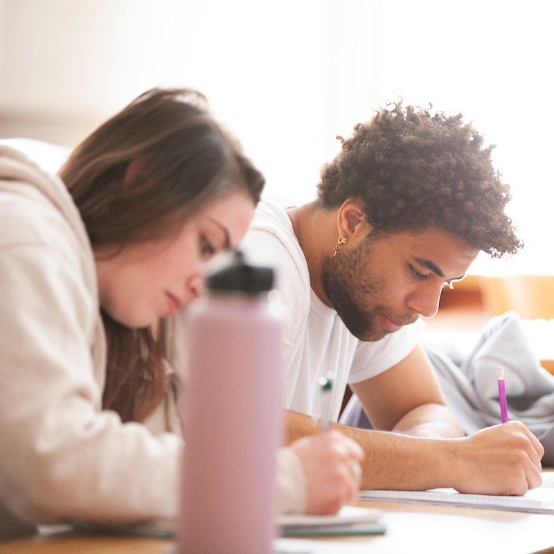 History – Political Science – Bachelor’s Degree Program (BA)