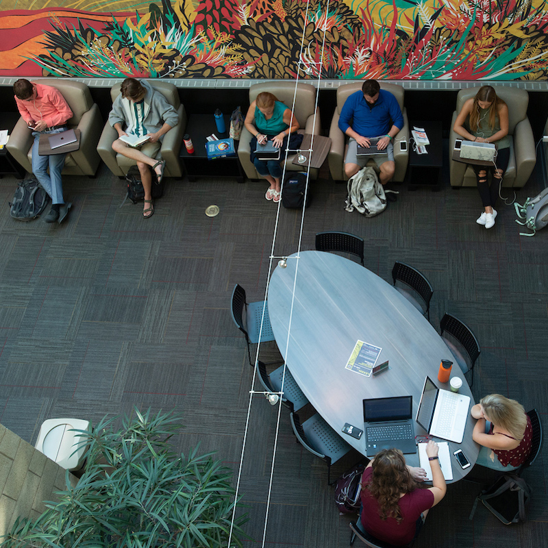 Management and Entrepreneurship – Bachelor’s Degree Program (BS)