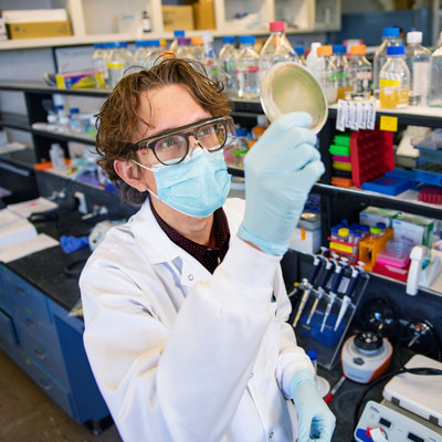 Microbiology - Bachelor's Degree Program (BA, BS)