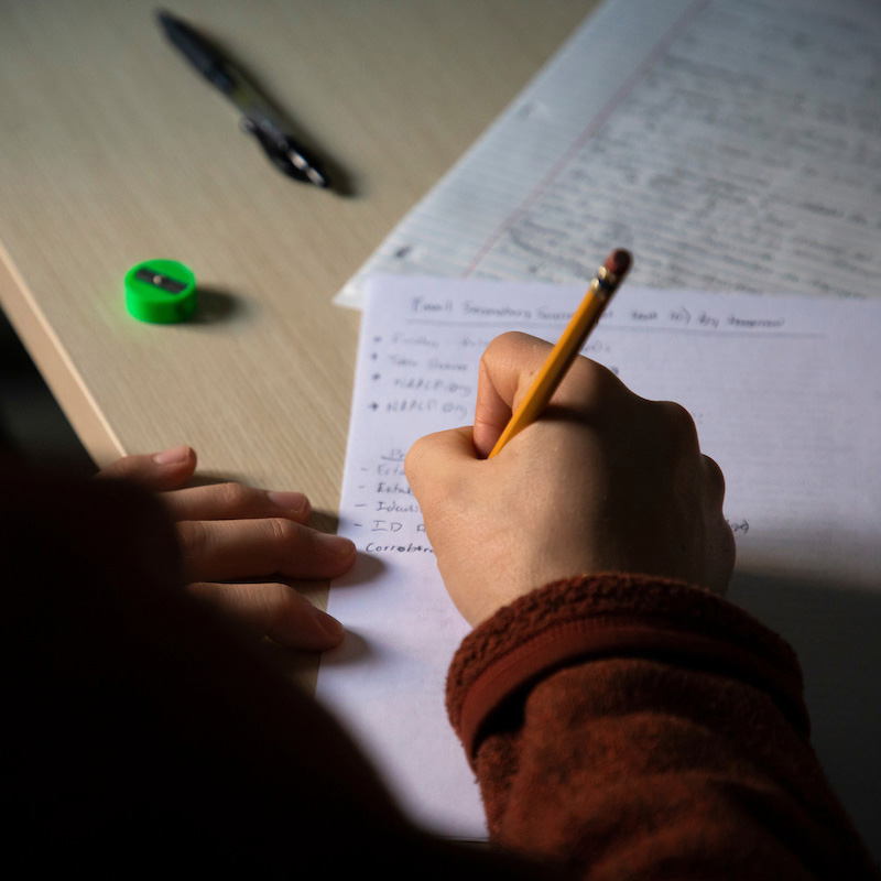 Multidisciplinary Studies – Bachelor’s Degree Program (BA)