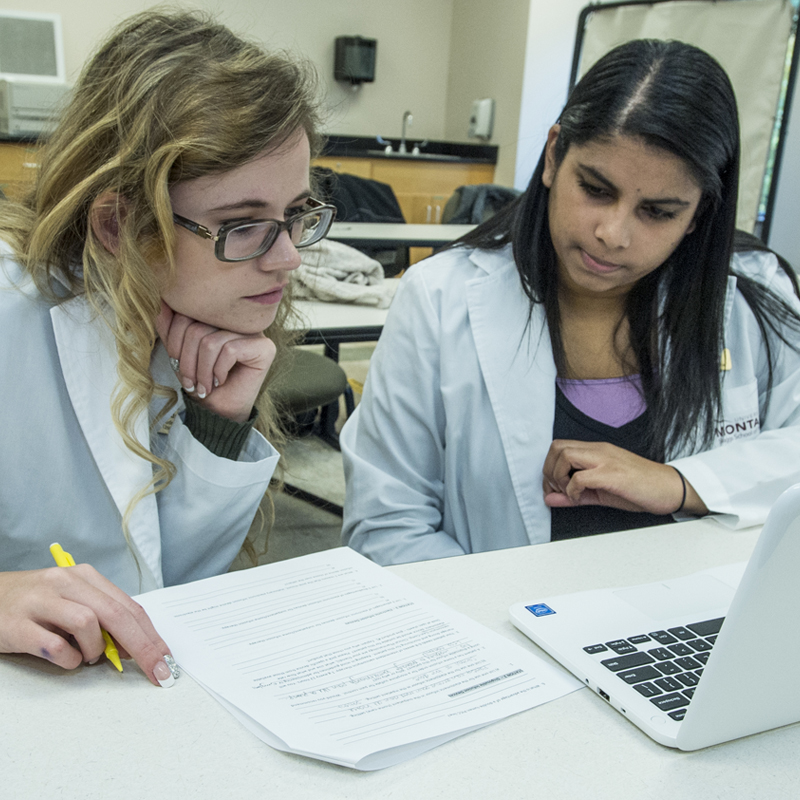 Pharmaceutical Sciences – Bachelor’s Degree Program (BS)