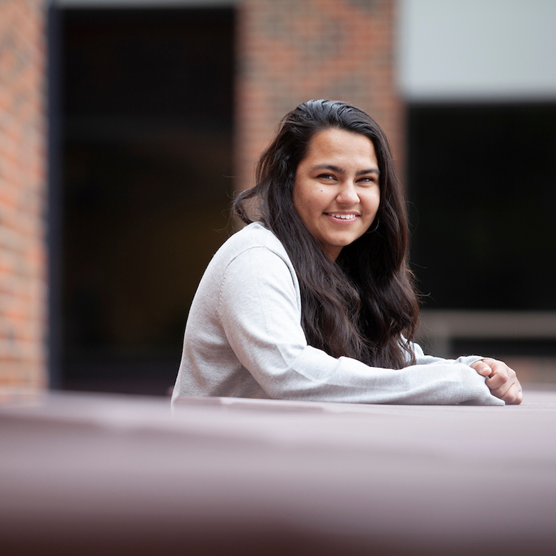 Physics - Bachelor's Degree Program (BA)