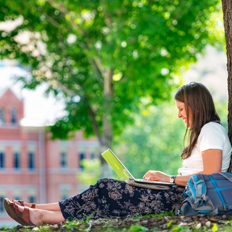 Political Science – Concentration in American Politics – Bachelor’s Degree Program