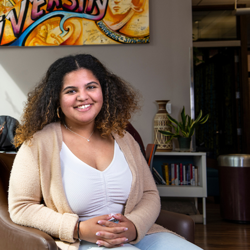 Political Science – Bachelor’s Degree Program (BA)