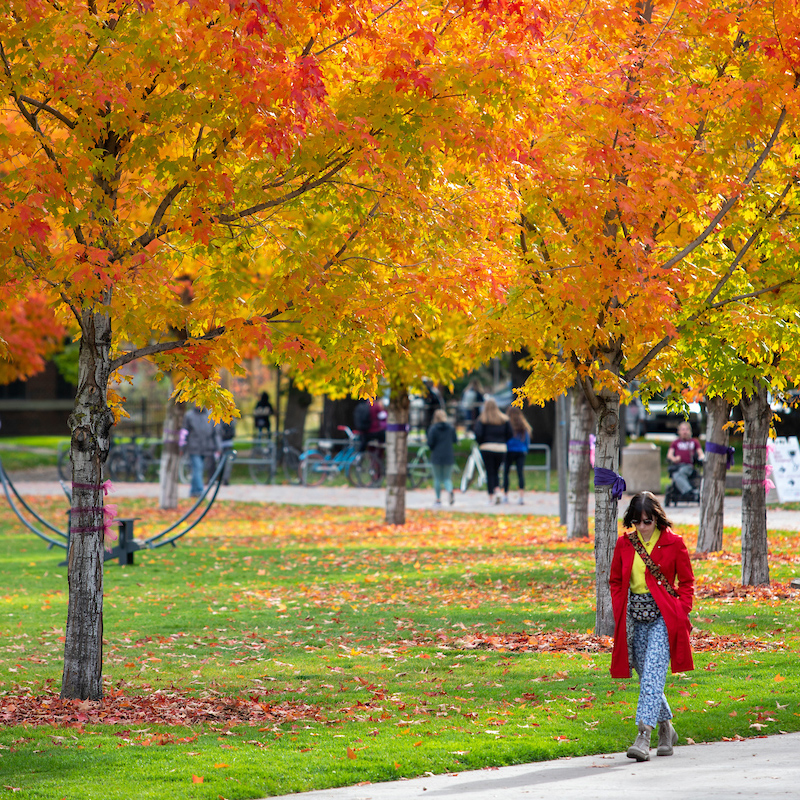 Russian – Bachelor’s Degree Program (BA)