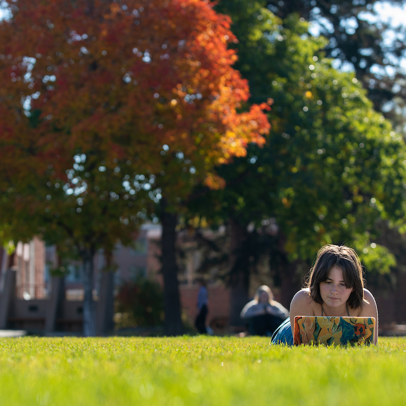 Spanish – Bachelor’s Degree Program (BA)