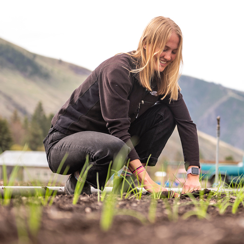 Sustainability Science and Practice – Bachelor’s Degree Program (BS)