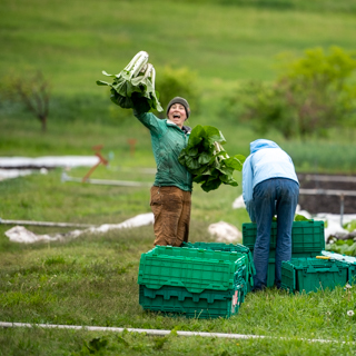ESS – Sustainable Livelihoods and Communities – Bachelor’s Degree Program (BS)