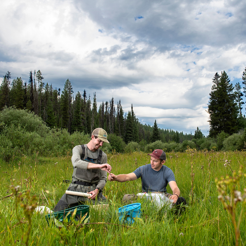 Wildlife Biology – Aquatic – Bachelor’s Degree Program (BS)