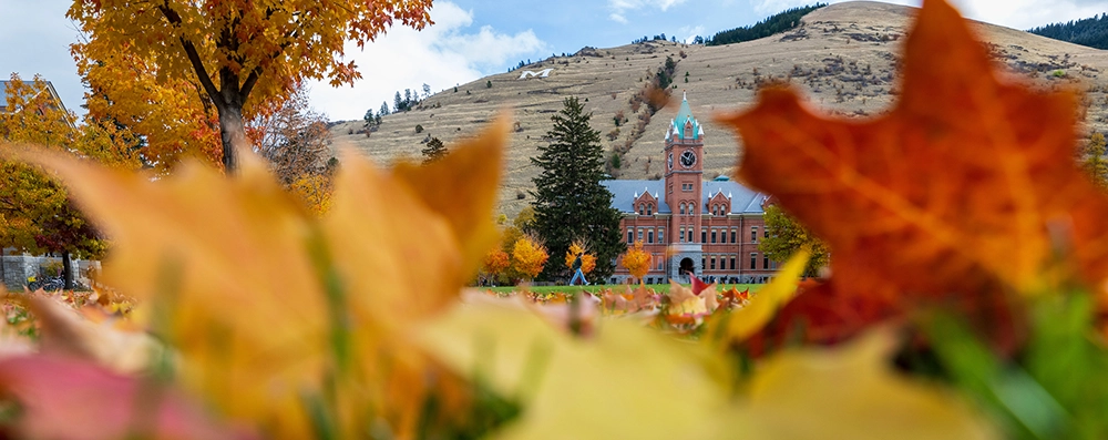 Colorful fall leaves are scattered across the Oval, Main Hall stands in the background